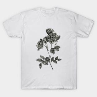 Peony flower stem - B&W T-Shirt